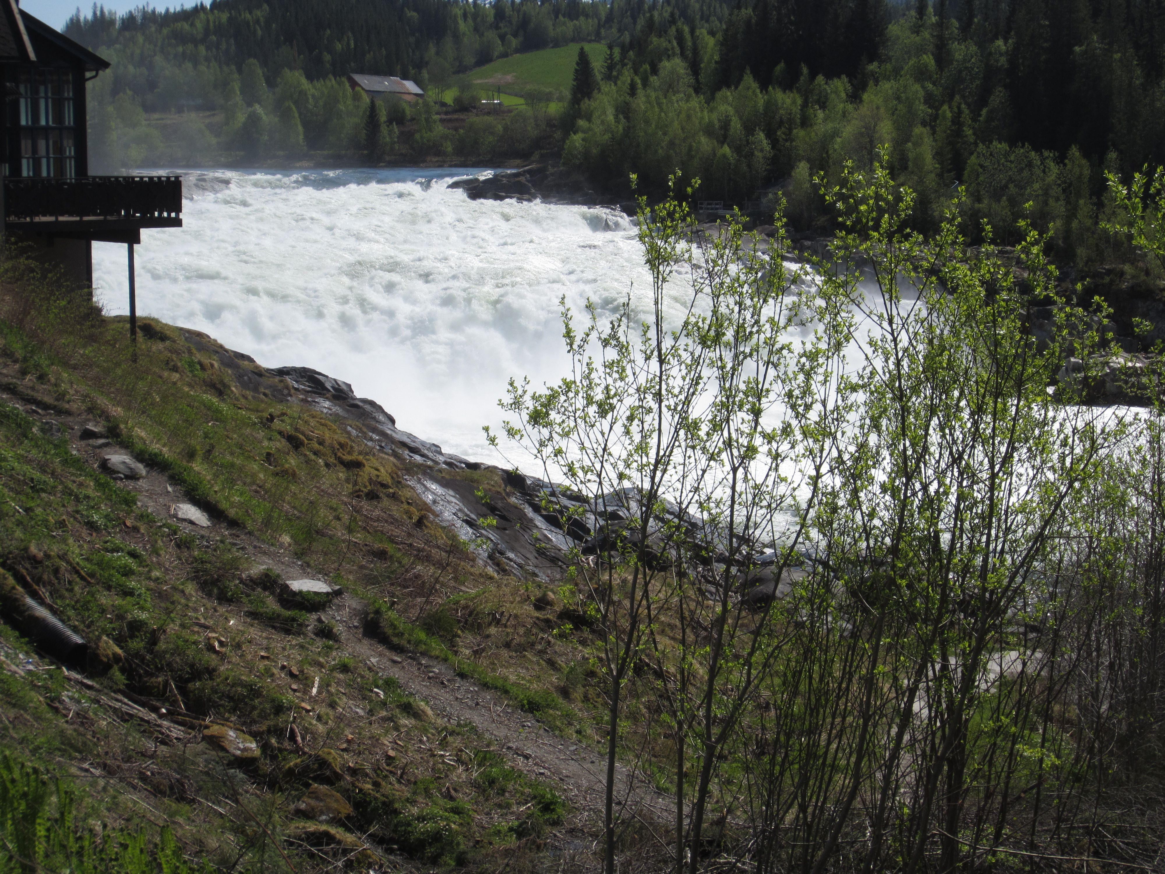 Rapids at Laksforsen 1